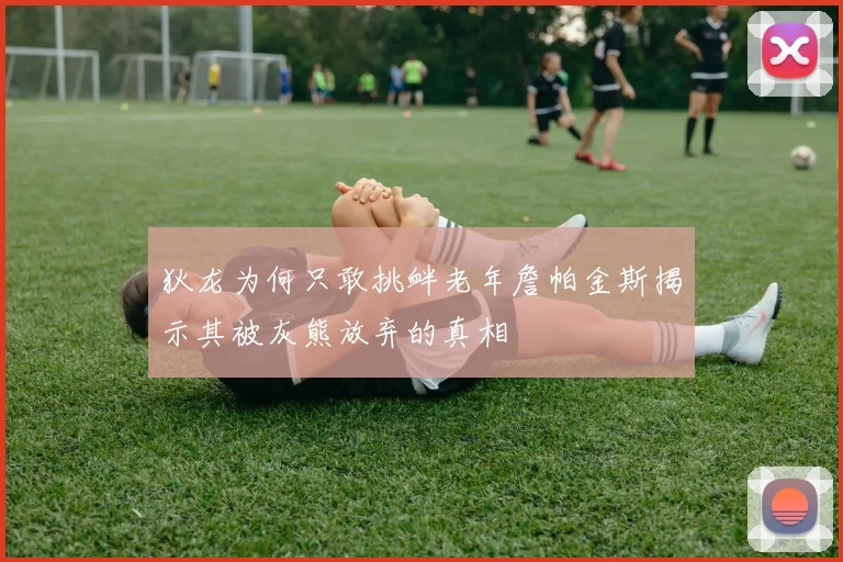 狄龙为何只敢挑衅老年詹帕金斯揭示其被灰熊放弃的真相