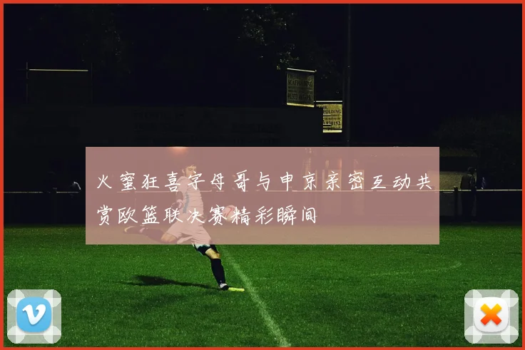 火蜜狂喜字母哥与申京亲密互动共赏欧篮联决赛精彩瞬间