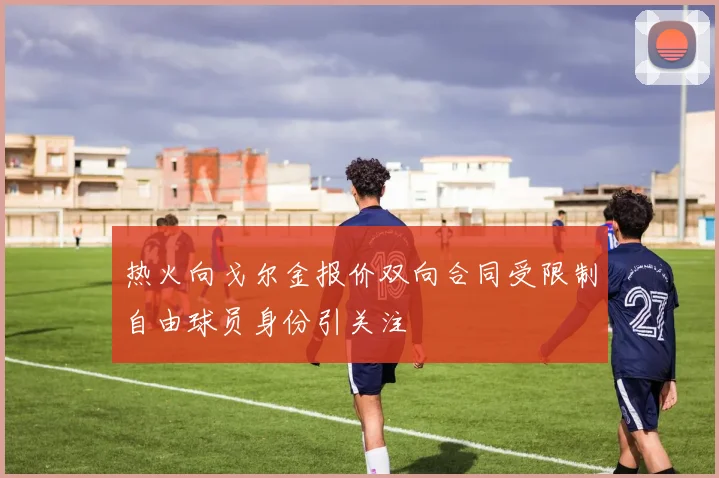 热火向戈尔金报价双向合同受限制自由球员身份引关注