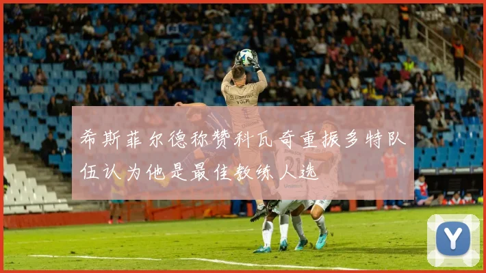 希斯菲尔德称赞科瓦奇重振多特队伍认为他是最佳教练人选
